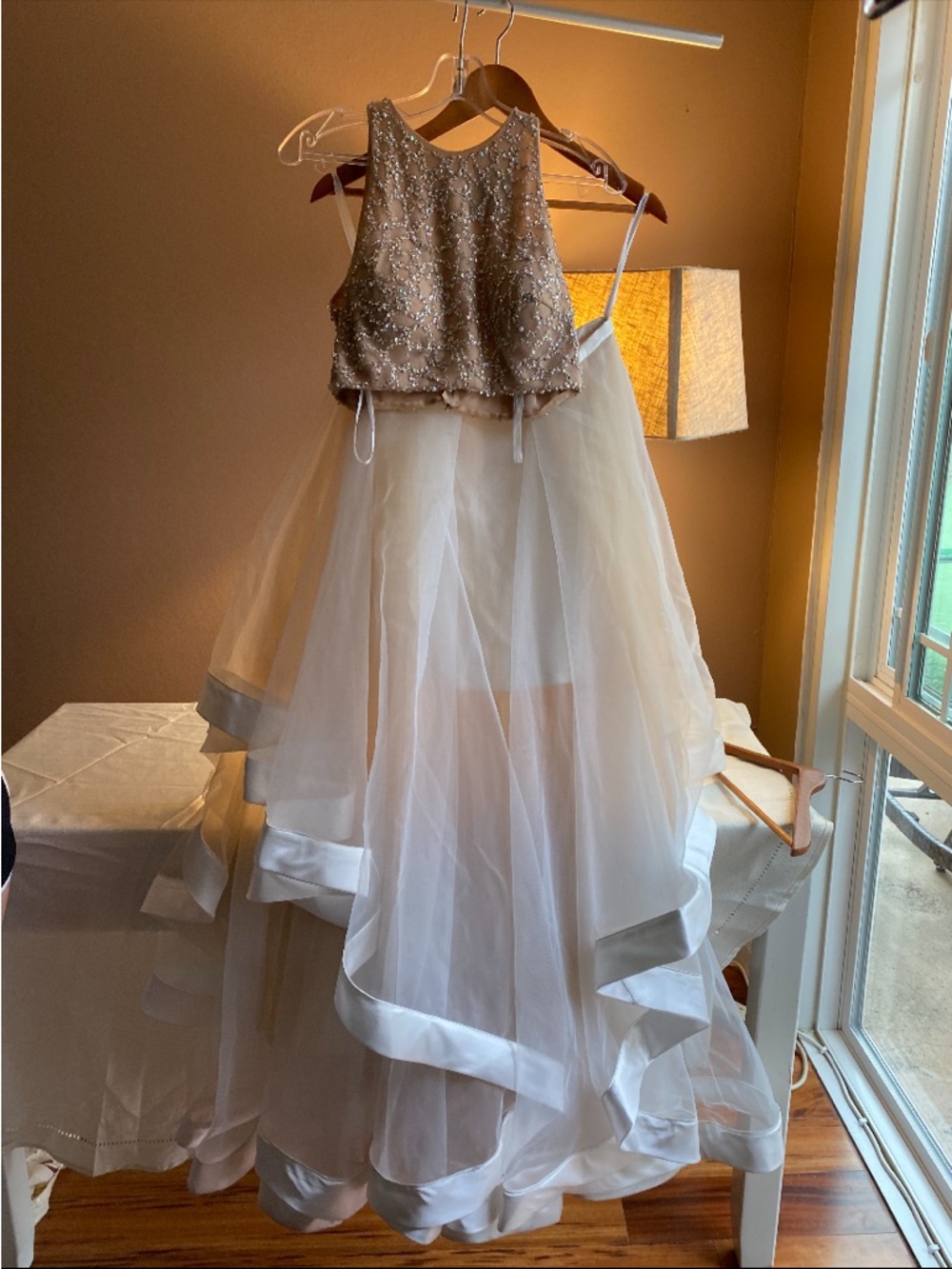 Prom Dress - Picture 5 of 9